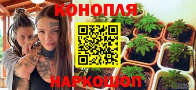 прущие грибы Донецк