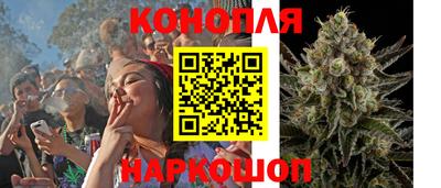 прущие грибы Донецк